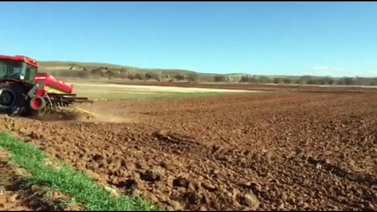 Deutz-Fahr 110 - Same 80 - Massey Ferguson 240 HD