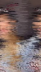 Stylish Girl's Handbag in All Sizes & Colors – Only 3200 📱