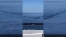 La terrorífica escena de un tiburón acercándose a una embarcación