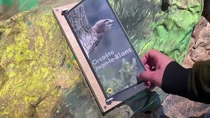 Une scénographie immersive à la Maison de la Réserve Naturelle des Gorges de la Loire