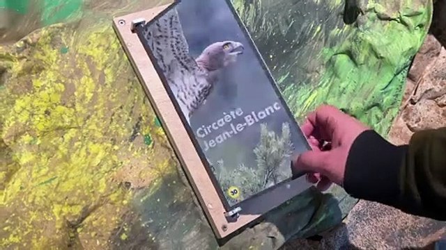 Une scénographie immersive à la Maison de la Réserve Naturelle des Gorges de la Loire
