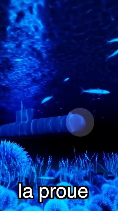 Pourquoi les sous-marins ontdes nez arrondis?