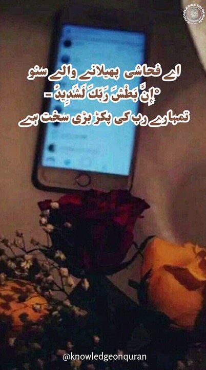 Fahashi phelany waly