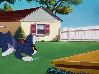 Tom & Jerry (1940) - S1950E14 - Slicked-Up Pup
