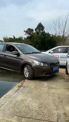 What_to_do_if_the_turn_on_a_narrow_road_is_blocked__This_is_what_a_skilled_driver_does_#ytshorts(720p)