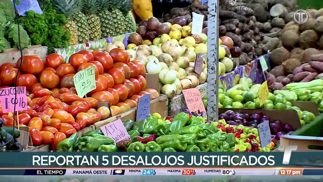 Merca Panamá desmiente supuestos desalojos de arrendatarios