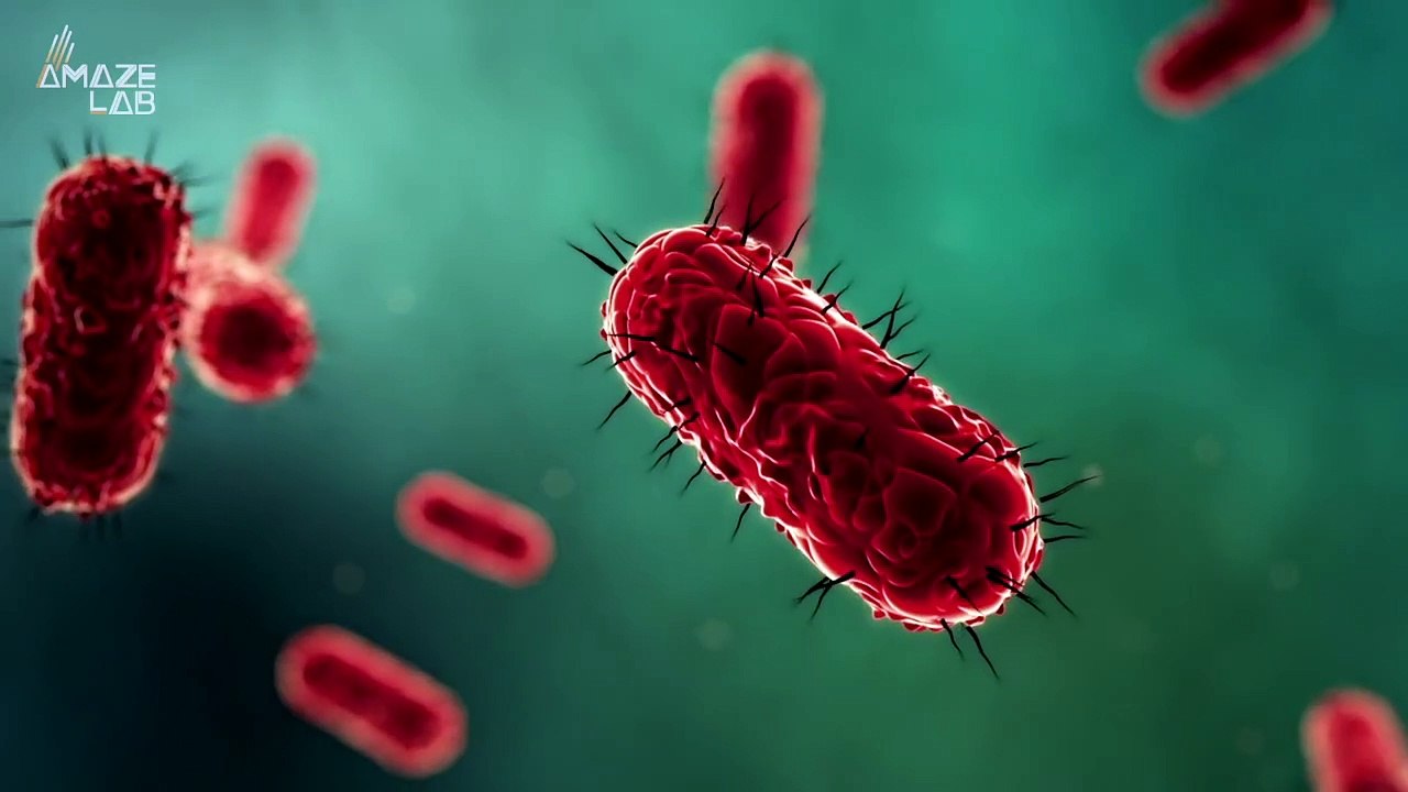 How The Black Plague Evolved To Become One of the Deadliest Pandemics in History