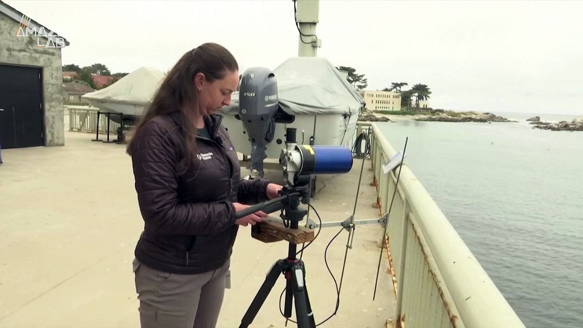 ⁣Why Sea Otters Are Vital To Underwater Ecosystems