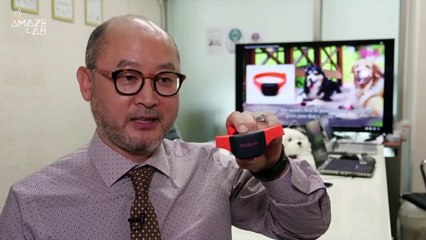 Revolutionary Smart Collar Helps You Understand Your Dog Better 🐶