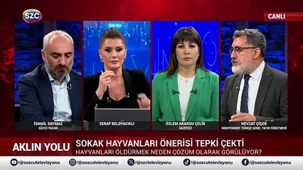 Nevzat Çiçek: Köpekleri çukurlara atıyorlar