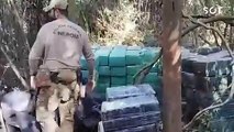 Polícia Federal apreende mais de 5,5 toneladas de maconha em Santa Helena
