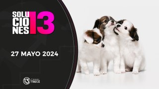 27 mayo 2024 | Soluciones del 13