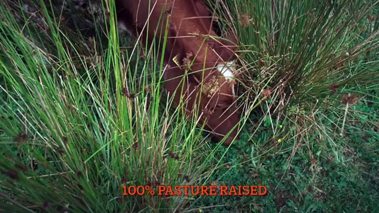 100% grassfed raw dairy, Ireland