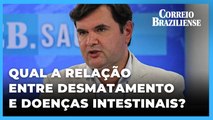 ESPECIALISTA EXPLICA RELAÇÃO DO DESMATAMENTO COM DOENÇAS INTESTINAIS; CONHEÇA FATORES DE RISCO