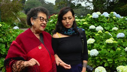 Hortensias para Inés - Trailer