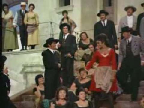 Lamour est un oiseau rebelle