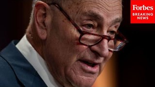 'Do Not Let This Moment Pass': Chuck Schumer Urges Senate GOP To Vote For Border Security Bill
