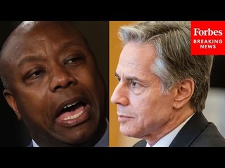 Tim Scott Confronts Antony Blinken About 'Weakness' In Biden Foreign Policy