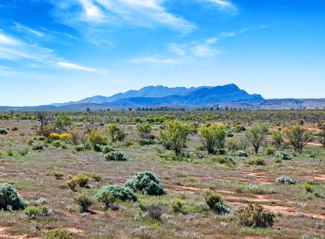 Yendoran  and  Yappala, Flinders Ranges | May 24, 2024 | Farmonline