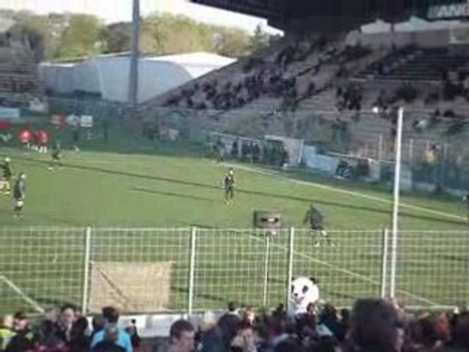 angers chateauroux  avec la mascote du sco... ligue 2