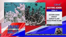 Coral bleaching na epekto ng sobrang init, ikinababahala ng mga eksperto | Unang Balita