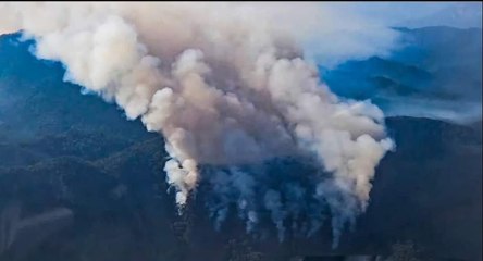 Incendio forestal ha afectado 10 hectáreas en Santiago, NL