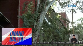 Bahagi ng puno, natumba sa compound ng DepEd Central Office | Unang Balita