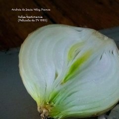 -ANDRÉS DE JESÚS VÉLEZ FRANCO- FALSO TESTIMONIO (PELÍCULA 1995) (PARTE 1) (@AndresdeJesus90)