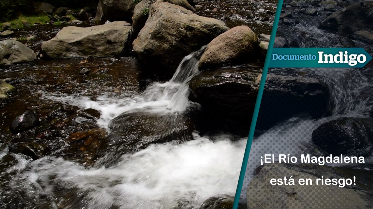 río magdalena catástrofe en el último río de la ciudad de méxico