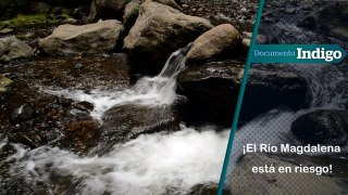 Río Magdalena: catástrofe en el último río de la Ciudad de México | Reporte Indigo