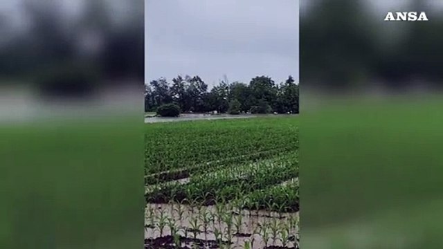 Maltempo in Veneto, il Laverda rompe gli argini nel Vicentino