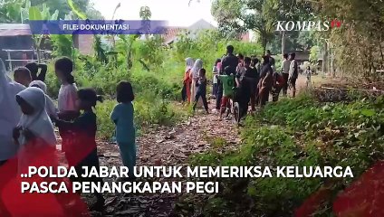 Hotman Paris Desak Polisi Periksa Keluarga Pegi Terkait Kasus Vina