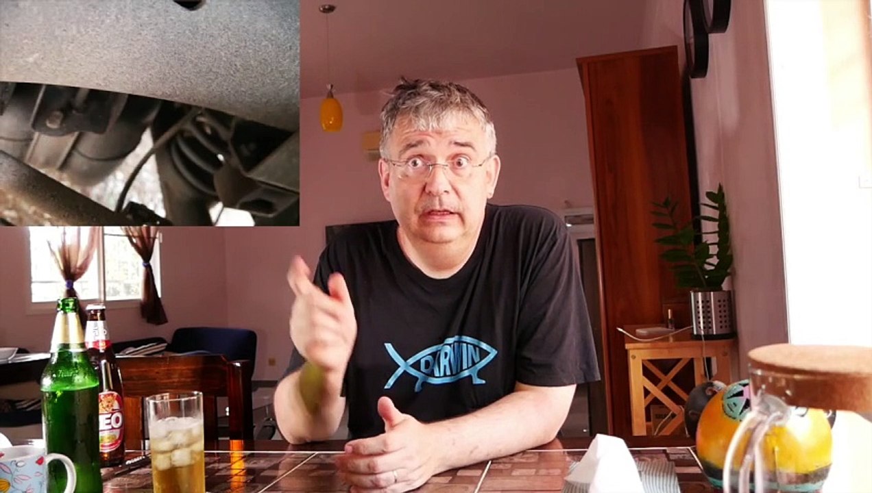 Auf einen Kaffee (Bier) ins Wohnzimmer. #Thailand #Katzenbabys #gerettet #Unglück #abgewendet