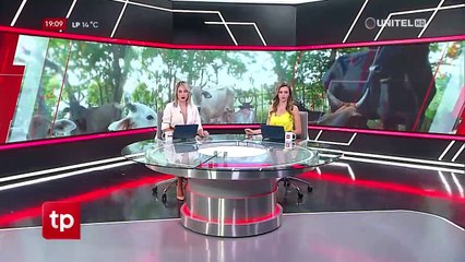 Caso de abigeato: Coronel denunciado por extorsión no aparece tras conocerse la acusación