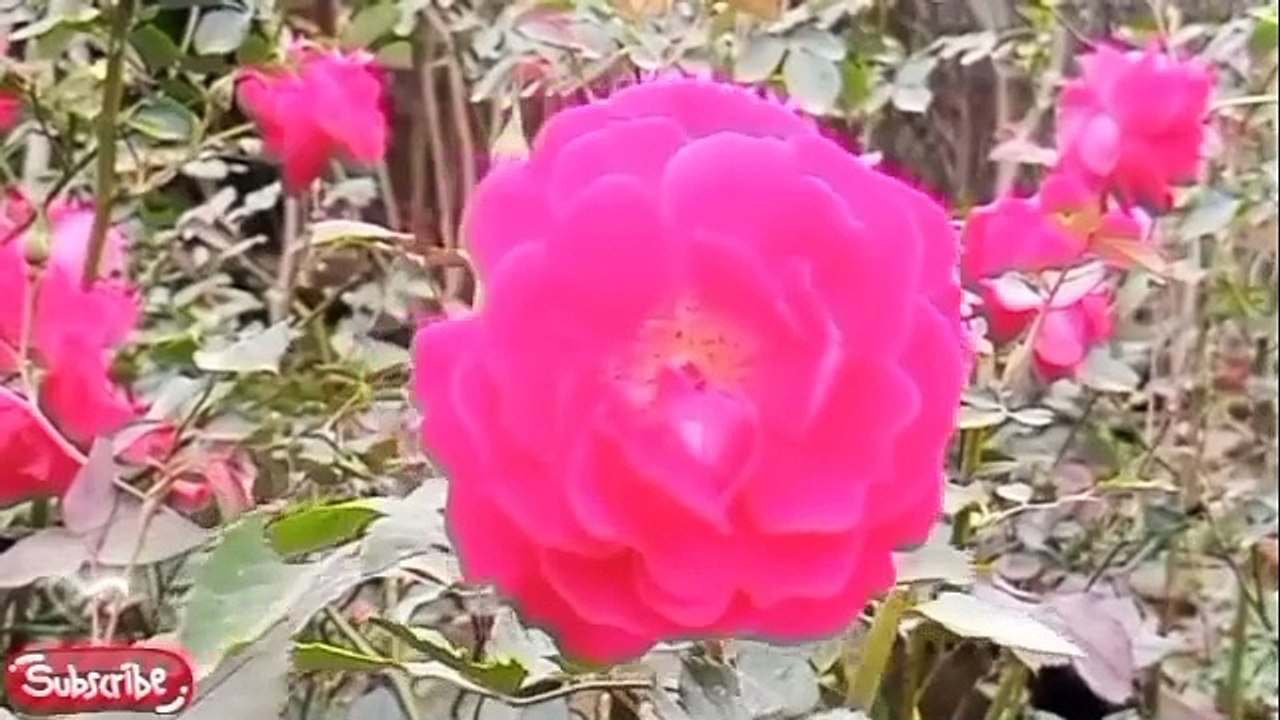 Manzil Dua - 008 - Manzil - منزل