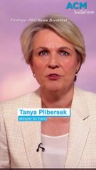 'We are actually going backwards' Tanya Plibersek's concerns over proliferation of explicit content on social media