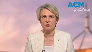 'We are actually going backwards', Tanya Plibersek's concerns over proliferation of explicit content on social media
