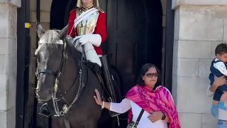 Cavalo da Guarda do Rei Charles III morde turista 'abusada'