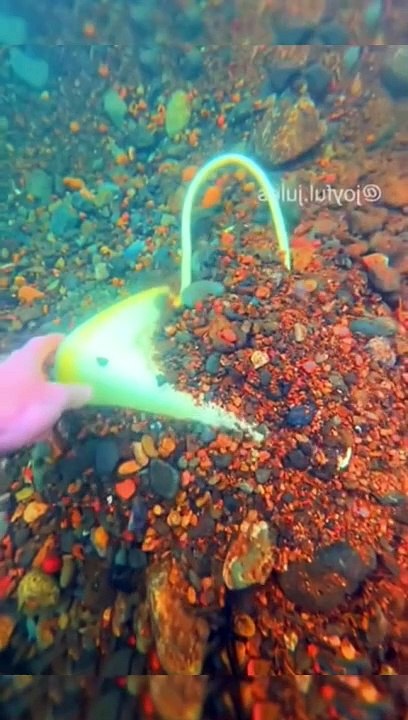 Wonders of the Water: A Voyage through Marine Ecosystems