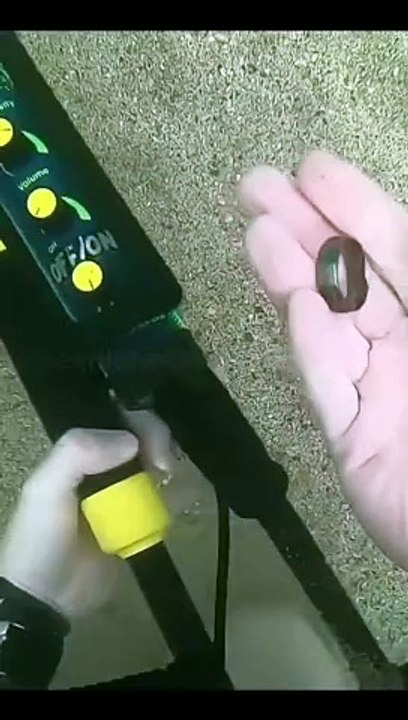 Exploring the Blue Frontier: The Untamed Oceans