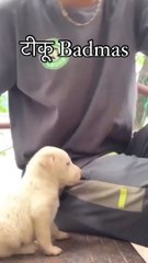 Baby dol masony sunny Leone dance