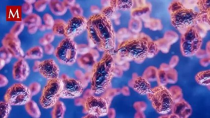 ¿Qué es el cáncer de pene y cuáles son sus síntomas?