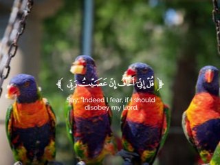 Quran Al Kareem قرآن الكريم