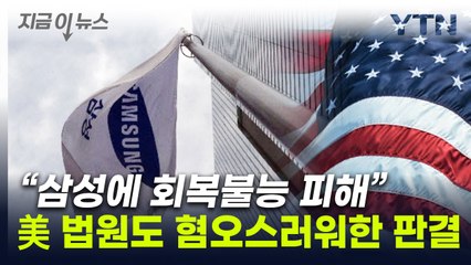 삼성 공격한 前 '삼성맨'...美법원도 "혐오스러워" 철퇴 [지금이뉴스] / YTN