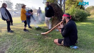 Sorry Day activities in Bomaderry