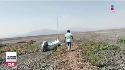 Laguna Yuriria; otra víctima de la tercera ola de calor en México