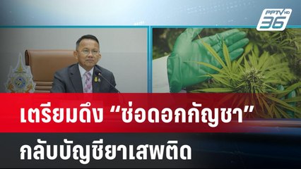 สมศักดิ์ เตรียมดึงช่อดอกกัญชากลับบัญชียาเสพติด | เที่ยงทันข่าว | 24 พ.ค.67