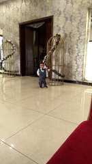 Golden time #shorts #viral #trending #foryou #tiktok #delicious #gaming #reels