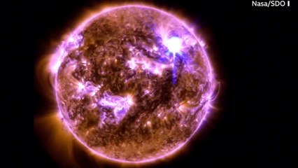 Upcoming Events in the USA & Solar Panel Myths Debunked ⚡