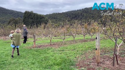 Mount Gnomon Farm celebrates 15 years